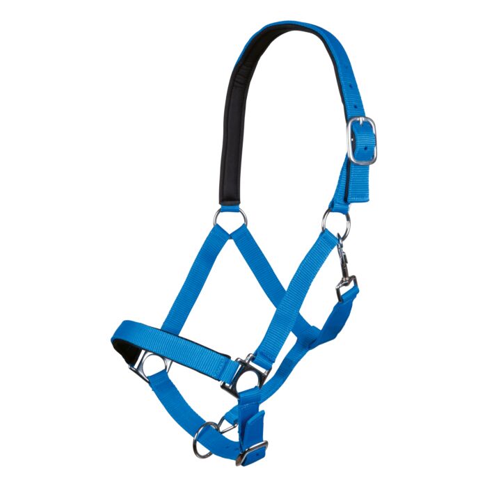 HKM Sports Halsterset Stars Softice - Kobalt blauw. Comfortabel halster met zacht onderlegd neus- en frontriem. Inclusief halstertouw met karabijnhaak. Stevig gespwerk en stijlvolle kobalt blauwe kleur. De halstersets zijn verkrijgaabr bij livin horse shop