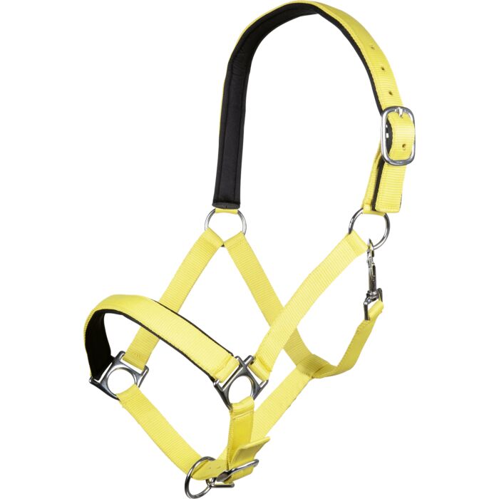 HKM Sports Halsterset Stars Softice - Neon geel. Comfortabel halster met zacht onderlegd neus- en frontriem. Inclusief halstertouw met karabijnhaak. Stevig gespwerk en opvallende neon gele kleur.
De halstersets zijn verkrijgbaar
bij Livin Horse Shop.