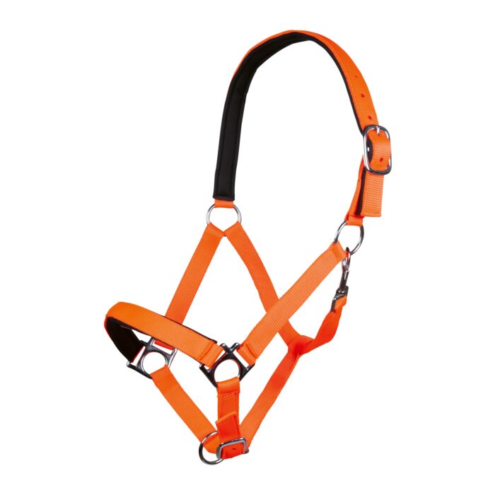 HKM Sports Halsterset Stars Softice - Neon oranje. Comfortabel halster met zacht onderlegd neus- en frontriem. Inclusief halstertouw met karabijnhaak. Stevig gespwerk en opvallende neon oranje kleur. De halstersets zijn verkrijgbaar bij Livin Horse Shop!