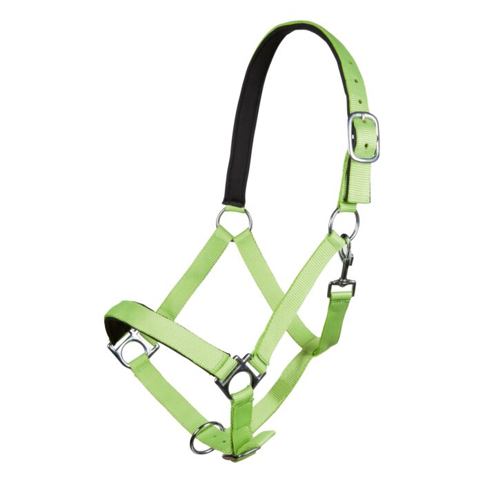 HKM Sports Halsterset Stars Softice - Neon groen. HKM Sports Halsterset Stars Softice Neon Groen – Compleet Set