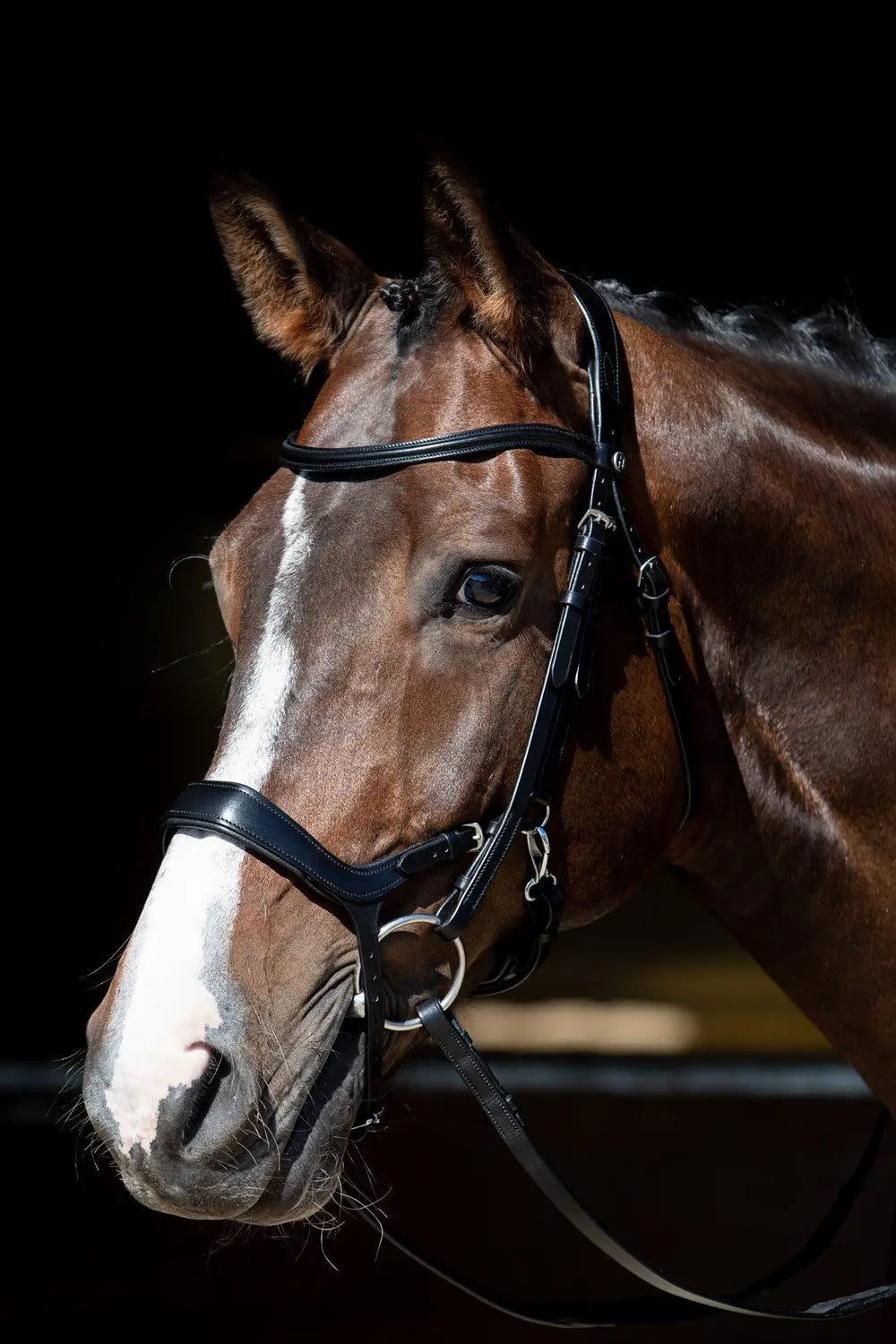 harrys-horse-hoofdstel-release