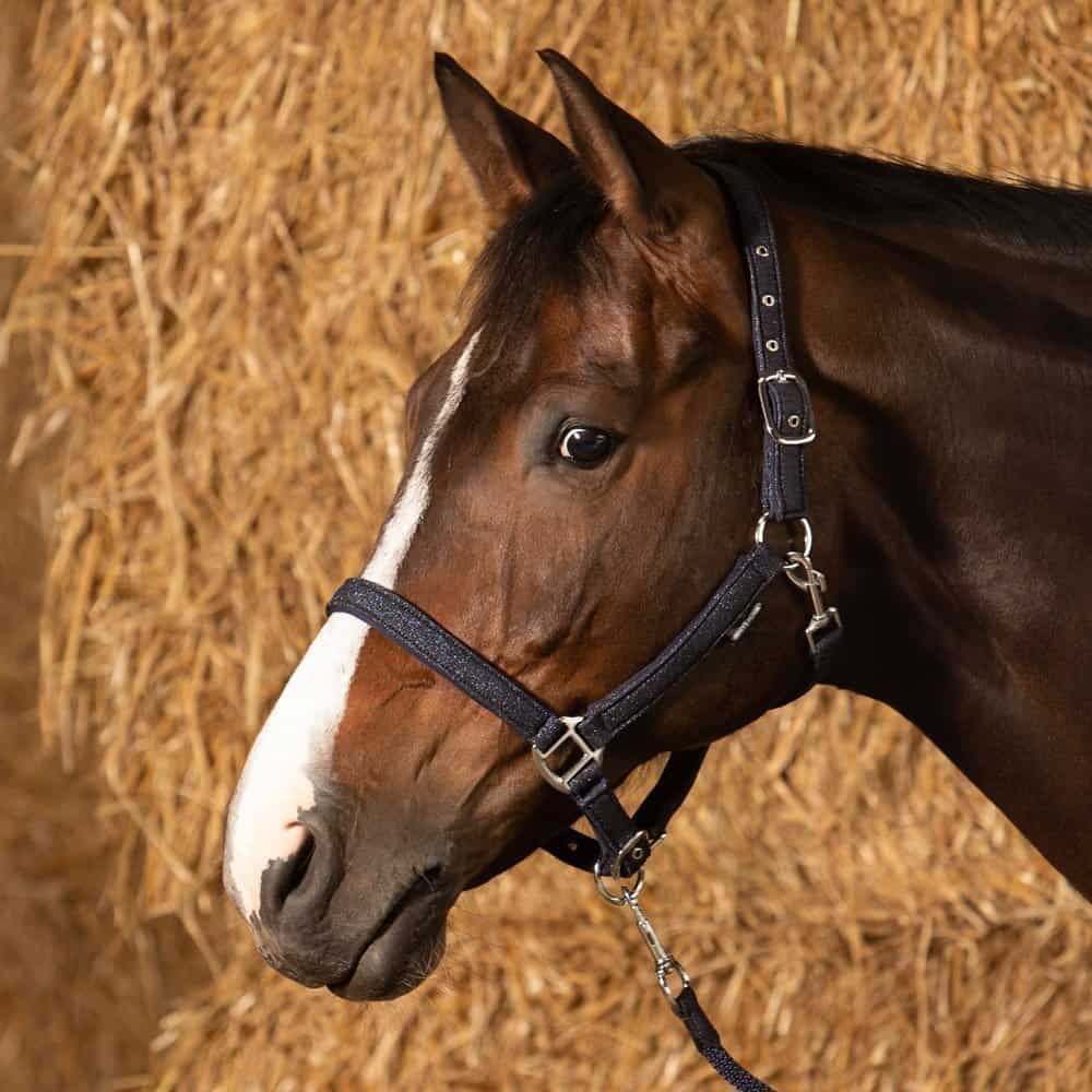 halsterset glitter navy. Navy halster met glitterglans en neopreen voering. Verstelbaar en voorzien van clipsluiting. Inclusief halstertouw. Comfort en stijl in één! halsters voor paard en pony - halstersets - touwen