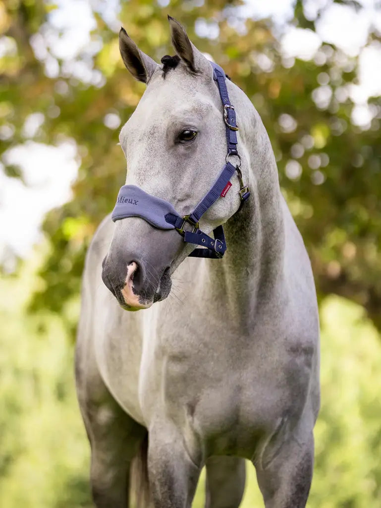 LeMieux Vogue Halsterset Indigo – Comfortabel & Verstelbaar. De LeMieux Halstersets zijn verkrijgbaar bij Livin Horse Shop.Frontaanzicht