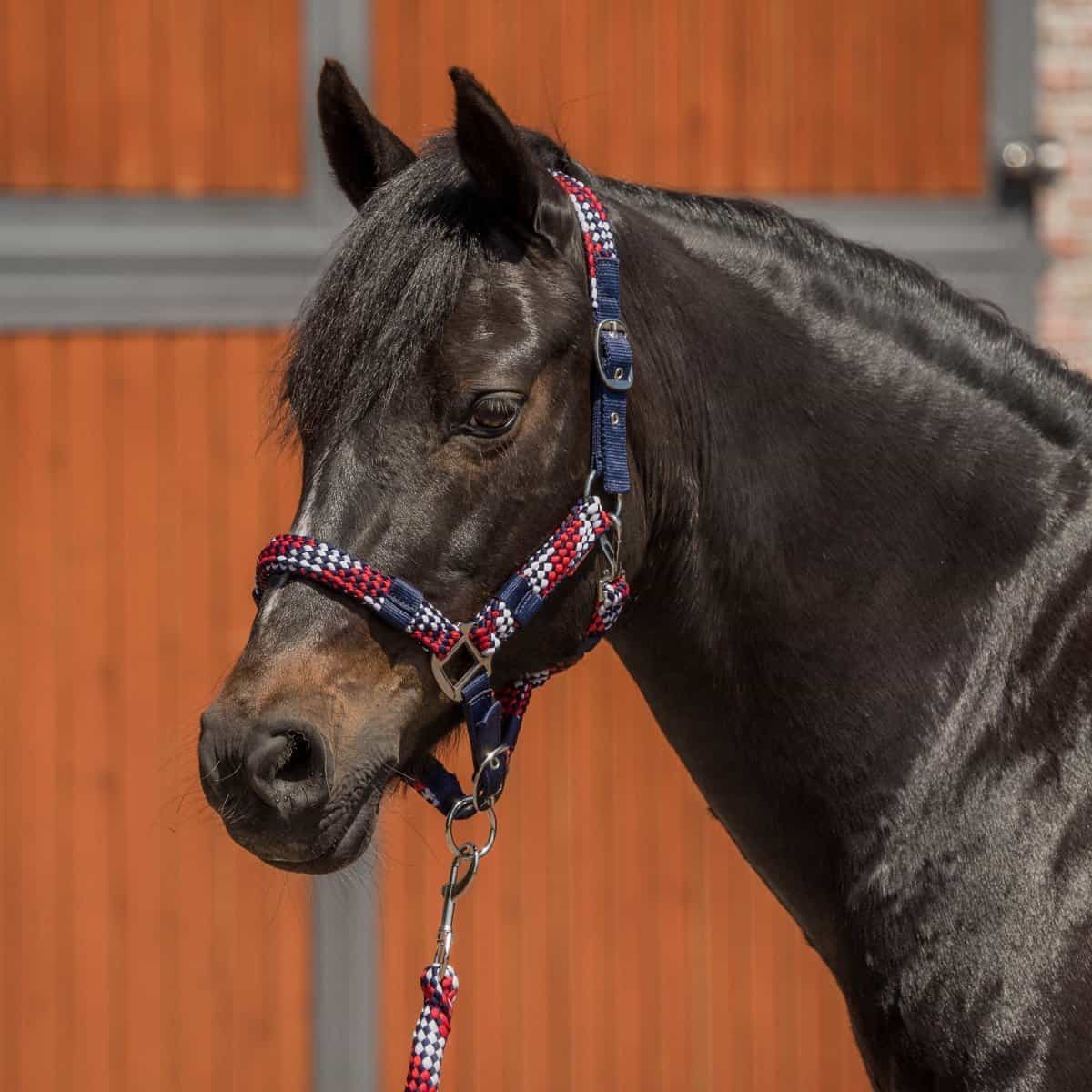 Horka Halter Set Colour Rope
