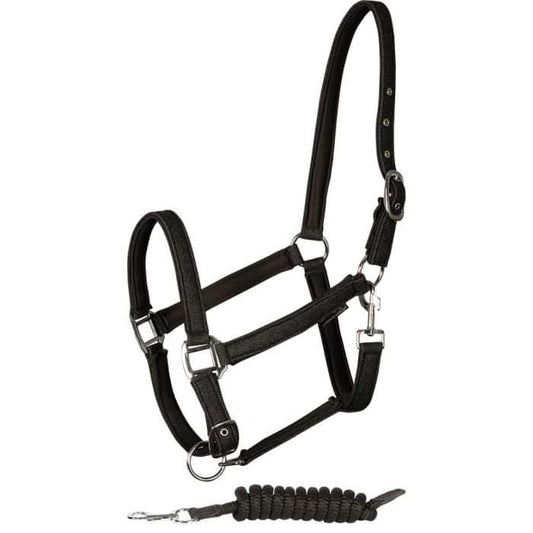Halsterset Glitter zwart. Harry’s Horse Halsterset Glitter Zwart – Incl. Halstertouw. De Halsters voor paard en pony zijn verkrijgbaar bij Livin Horse hop. Dealer van Horka, LeMieux, HKM