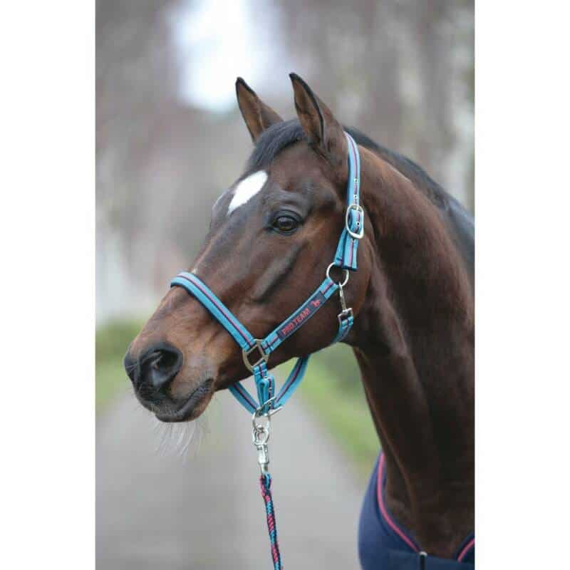 halster speed. Geef jouw paard het comfort en de stijl die het verdient met de HKM Halster Speed in de prachtige kleur lichtblauw. Dit halster is ontworpen met oog voor detail en het welzijn van je paard. Het neus- en kopstuk zijn zacht onderlegd, wat schuurplekken helpt voorkomen en zorgt voor extra draagcomfort – ideaal voor dagelijks gebruik of transport.
Het stevige, zilverkleurige gespwerk geeft het halster niet alleen een moderne uitstraling, maar staat ook garant voor duurzaamheid en gebruiksgemak.
