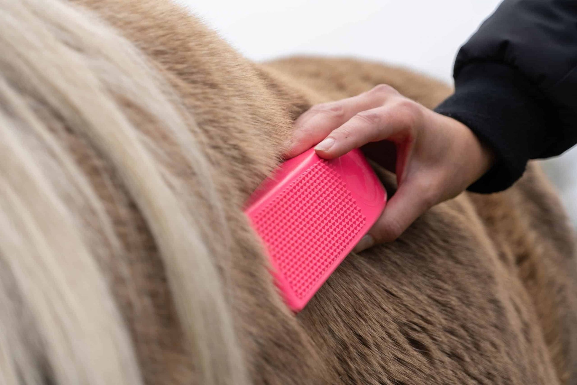 Excellent Grooming Brush – Multifunctionele Borstel voor Paard. Deze bijzondere borstel voor paard en pony is verkrijgbaar bij livin hofrse shop. Borstel op paard, roze