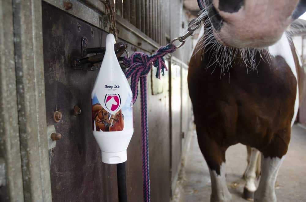 Excellent Deep Ice Gel – Spier- & Peesverzorging Paard. De verzorgingsproducten zijn verkrijgaar bij livin horse shop. Alles voor paard en pony