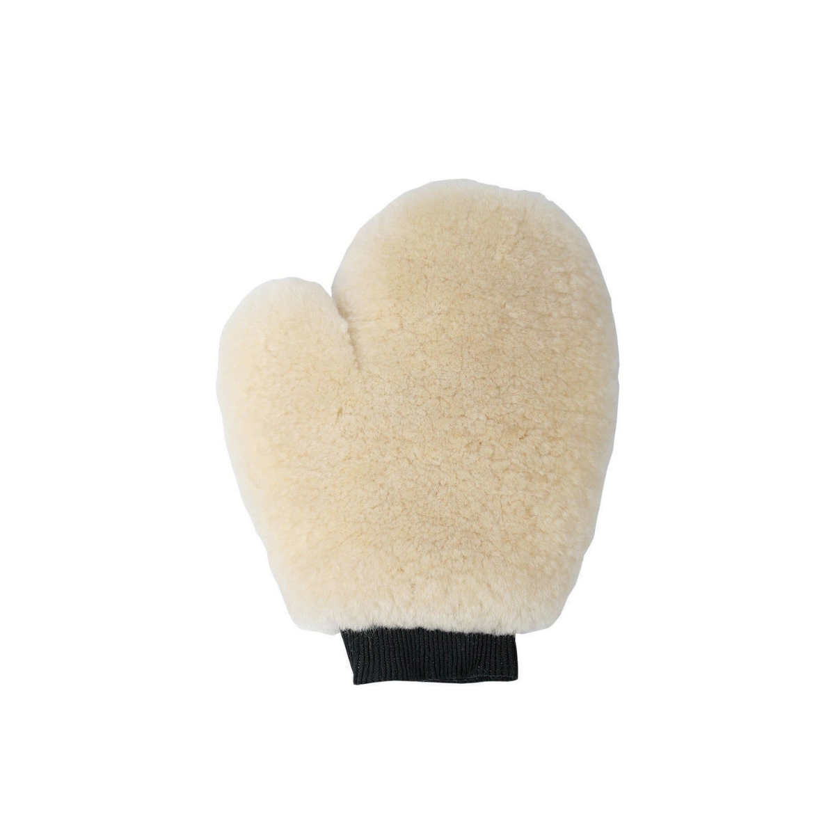 De Harry’s Horse Poetshandschoen Merino is de perfecte finishing touch voor iedere poetsbeurt. Gemaakt van 100% Merino lamswol, zorgt deze luxe handschoen voor een ongeëvenaarde glans op de vacht van je paard. Dankzij de natuurlijke vezels van Merino wol worden de laatste stofdeeltjes moeiteloos opgenomen, terwijl je tegelijkertijd de vacht op een zachte manier opwrijft.
