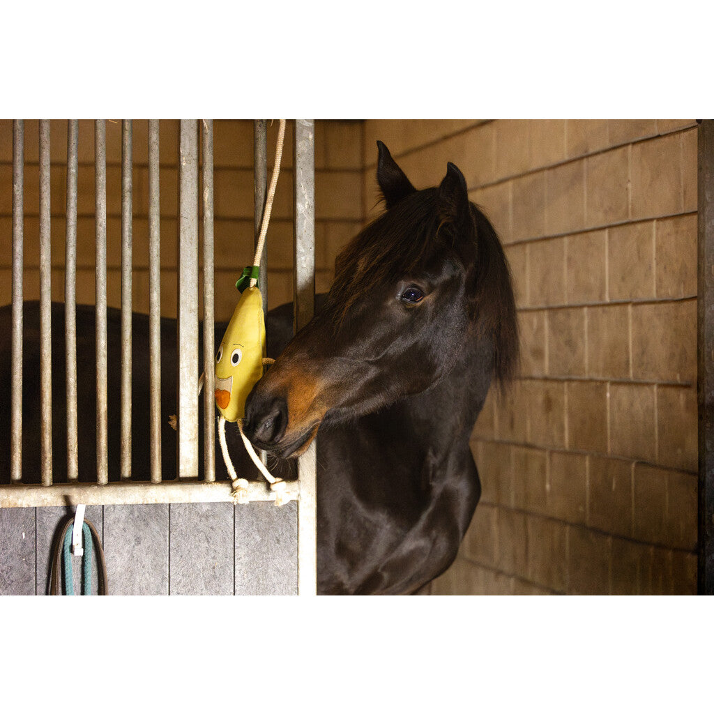 Excellent Horse Foodie Friends Pear – Duurzaam paardenspeelgoed tegen verveling