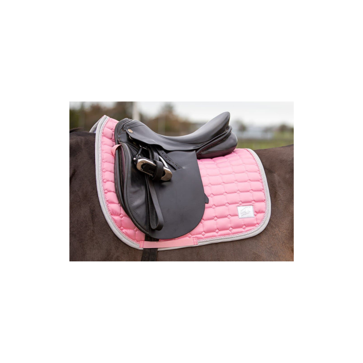Harry’s Horse Zadeldekje Pink Passion. Dit Zadeldek Pink Passion is verkrijgbaar bij Livin Horse Shop. Frontaanzicht Harry's Horse Zadeldekje op paard