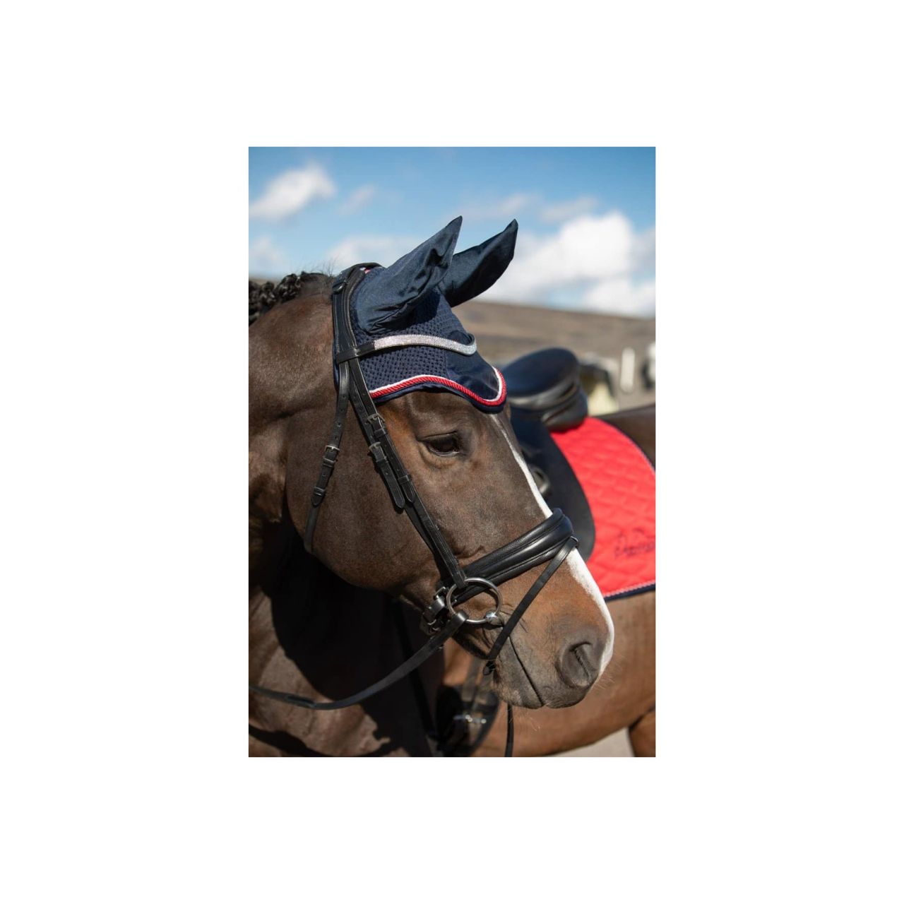 Harry’s Horse Denici Cavalli oornetje – gehaakt acryl met satijnen patch en elastische oren. Comfort en stijl in één. Shop nu bij Livin Horse Shop!. Vele soorten oornetjes, merken Horka, HKM en LeMieux