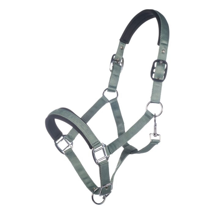HKM Halster Harbour Island Salie. HKM Halster Harbour Island Salie – Nieuw & Comfortabel. De halsters zijn verkrijgbaar bij Livin Horse Shop!