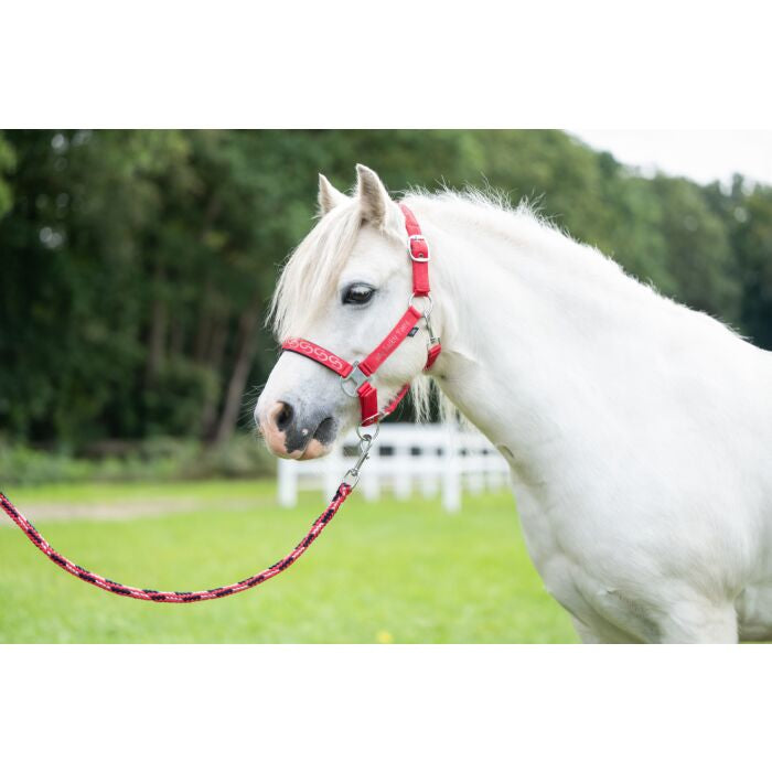 HKM Halstertouw Aymee. HKM Halstertouw Aymee – 1,40m Sterk Halstertouw met Klikclip. De HKM Halstertouwen zijn verkrijgbaar bij Livin Horse Shop. Pony en halster HKM