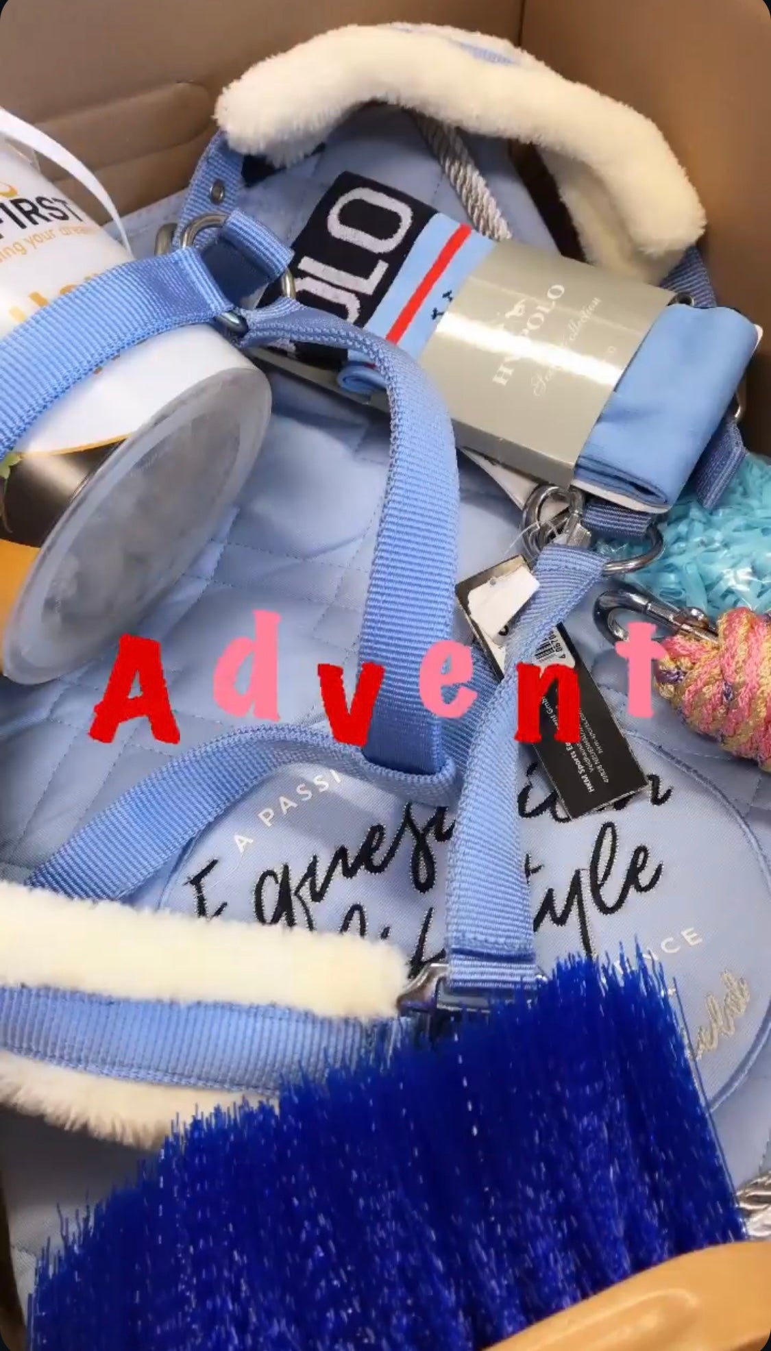 Horse Advent Calendar L with blanket PRE-ORDER