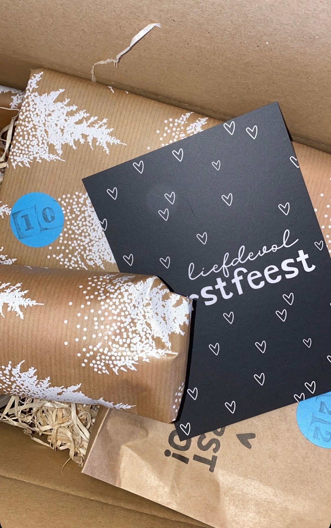 Horse Advent Calendar L with blanket PRE-ORDER