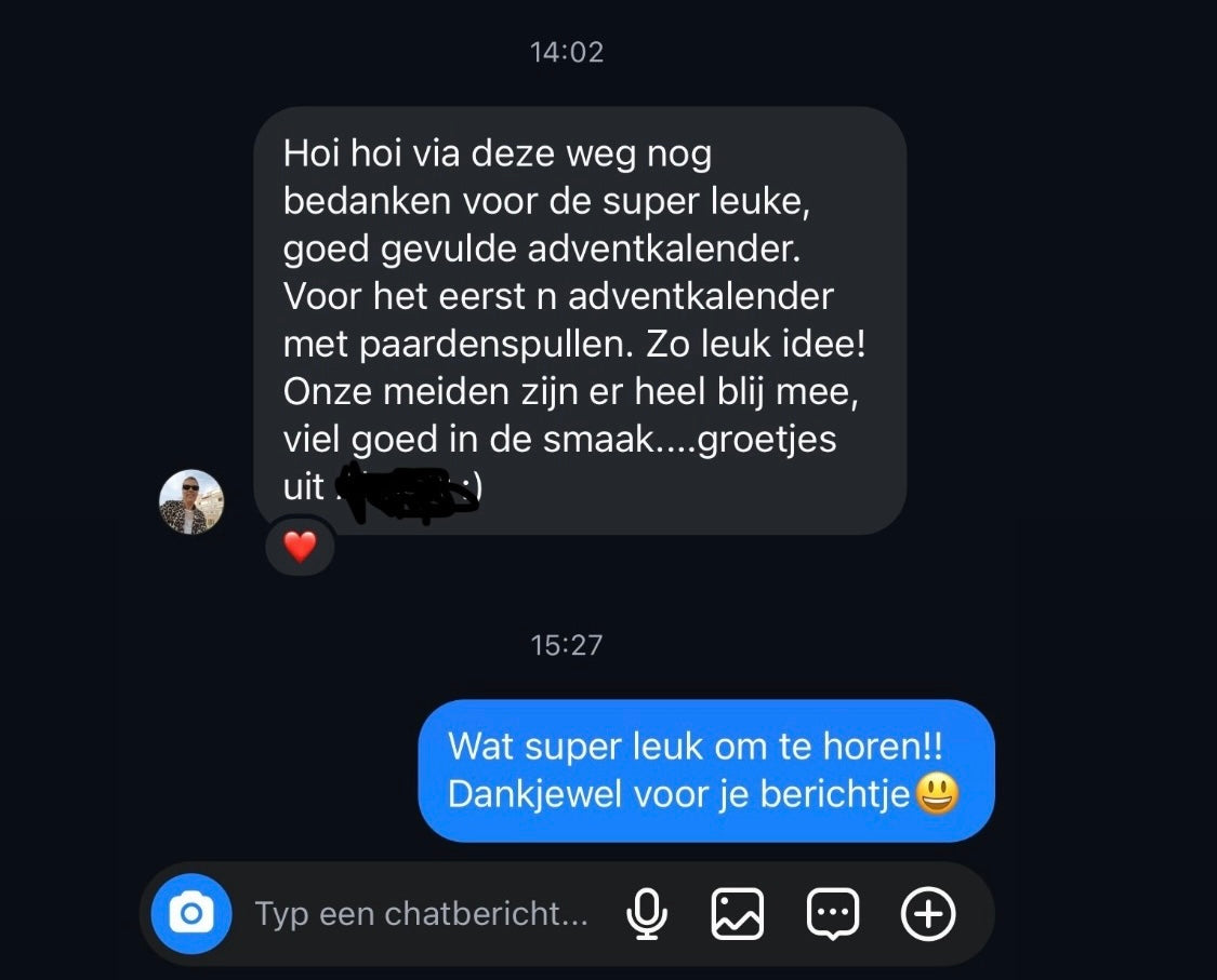 Horse Advent Calendar L with blanket PRE-ORDER