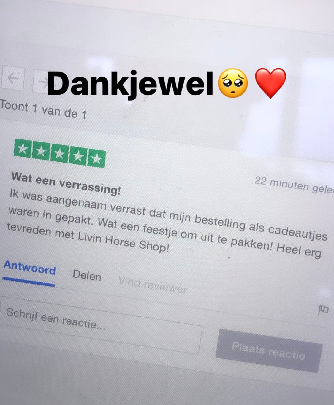 Horse Advent Calendar L with blanket PRE-ORDER