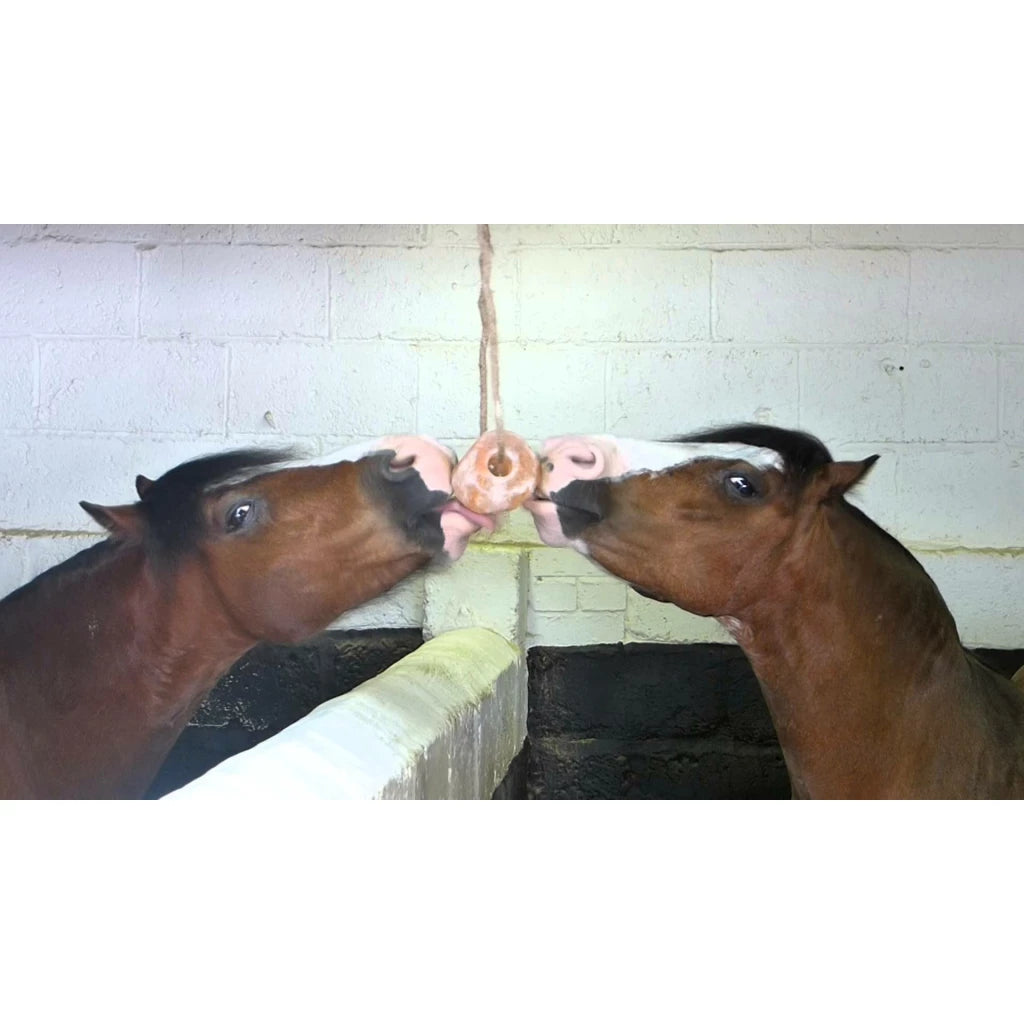 Koop de Excellent Liksteen Himalaya 2,3 kg bij Livin Horse Shop. 100% puur Himalayazout, rijk aan mineralen, bikkelhard en voorzien van touw. Ideaal tegen verveling en zouttekort!