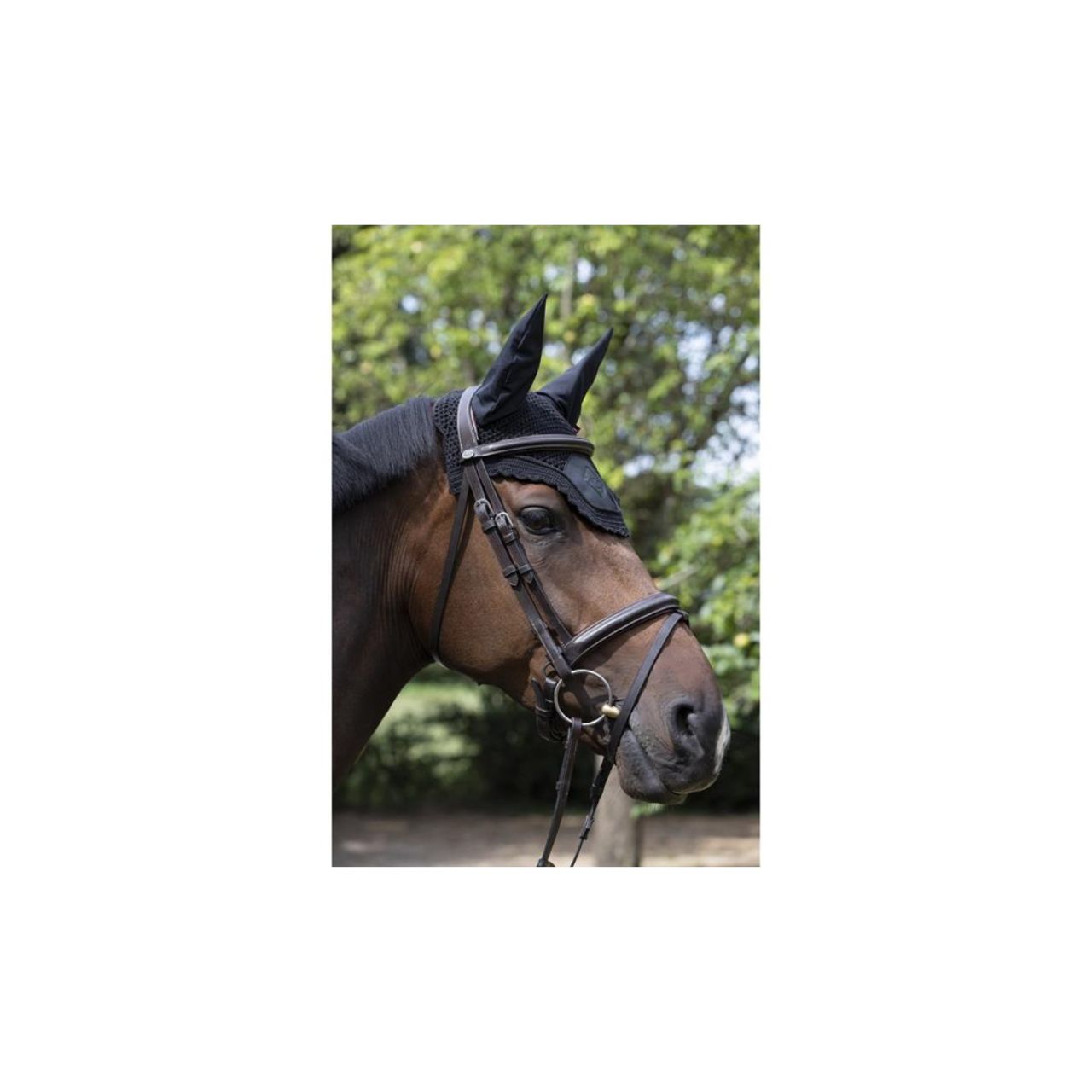 LeMieux Acoustic Pro Fly Hood Black Medium – geluidsdempende vliegenmuts met luxe PU lederen paneel, verkrijgbaar bij Livin Horse Shop, officiële dealer van LeMieux. Zijaanzicht paard met Lemieux oornetje