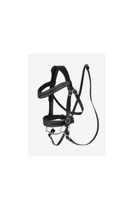 Leer je aankomende ruiter de fijne kneepjes van het opzadelen met het LeMieux Hobby Horse Hoofdstel Zwart. Dit topkwaliteit grackle-hoofdstel is ontworpen voor hobby horse-liefhebbers en biedt zowel comfort als stijl.
