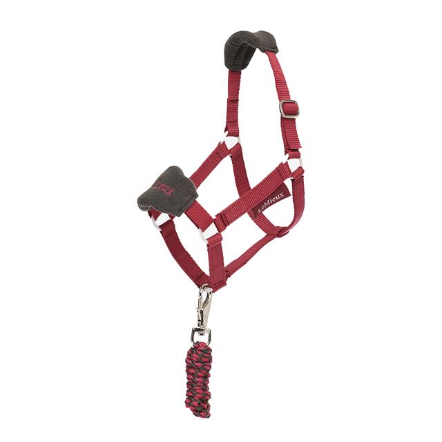 Lemieux Hobby Horse Stokpaardje Vogue halster Ember. Dit Halster voor hobby horse is verkrijgaabr bij Livin Horse shop. Frontaanzicht hobby horse halster ember