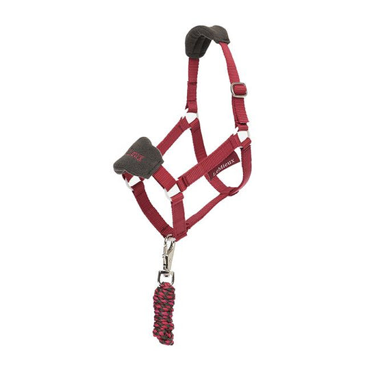 Lemieux Hobby Horse Stokpaardje Vogue halster Ember. Dit Halster voor hobby horse is verkrijgaabr bij Livin Horse shop. Frontaanzicht hobby horse halster ember
