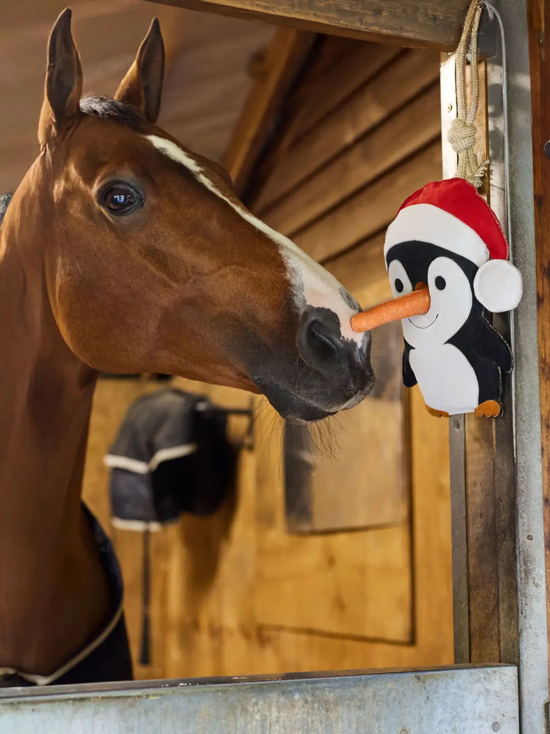 Pinguïn paardenspeelgoed met kerstmuts en neusgat voor een worteltje. Jute met natuurlijke vulling, tegen verveling op stal. Bestel bij Livin Horse Shop!