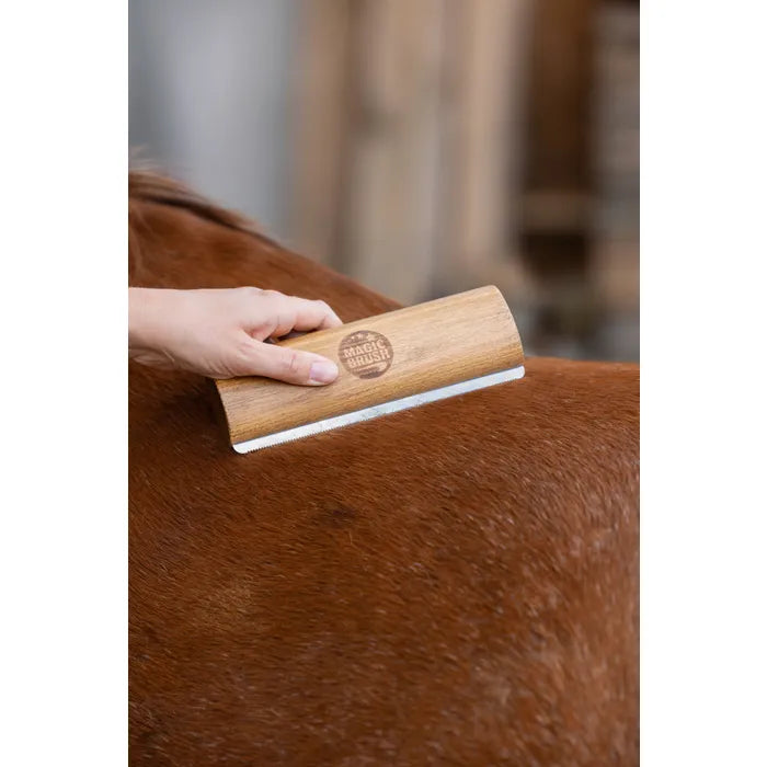 Magic Brush Paardenborstel met Metalen Tanden Lang – Onderwol & Vuil Verwijderen | Professionele Vachtverzorging Paard