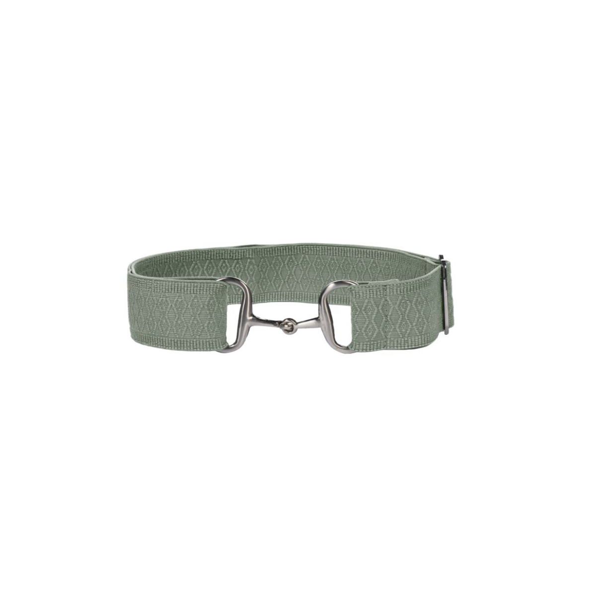 HKM Sports Stretch riem -Claire- Licht Groen.Shop de HKM Sports Stretch Riem Claire Licht Groen bij Livin Horse Shop. Modieuze elastische riem, verstelbaar en comfortabel. Perfecte ruiteraccessoire!