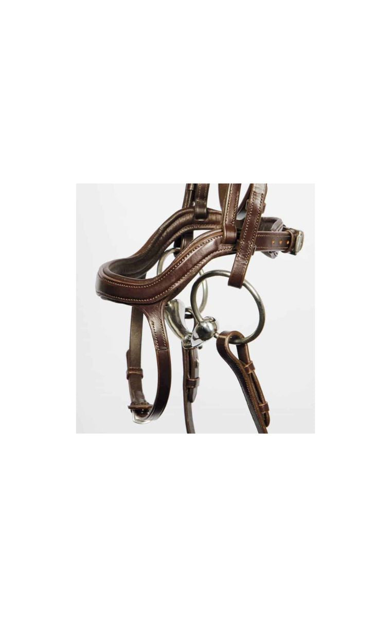 Harry’s Horse Hoofdstel Anatomic Bruin – Anatomisch Lederen Hoofdstel met Sperriem en Webband Teugels. Hoofstellen voor paard en pony zijn verkrijgbaar bij Livin Horse Shop, dealer van LeMieux, Horka en HKM.. Detailaanzicht 1 hoofstel paard