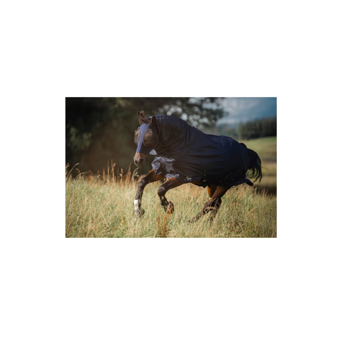 Covalliero FinoStretch Fly Mask – Ultimate Protection & Fit