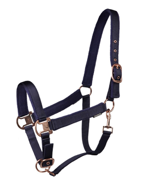 Hoeks Halster Elegant – verstelbaar op kopstuk en neusband, met zachte fleece voering voor optimaal comfort. Stijlvol én functioneel halster! De halsters zijn verkrijgbaar bij Livin Horse Shop
