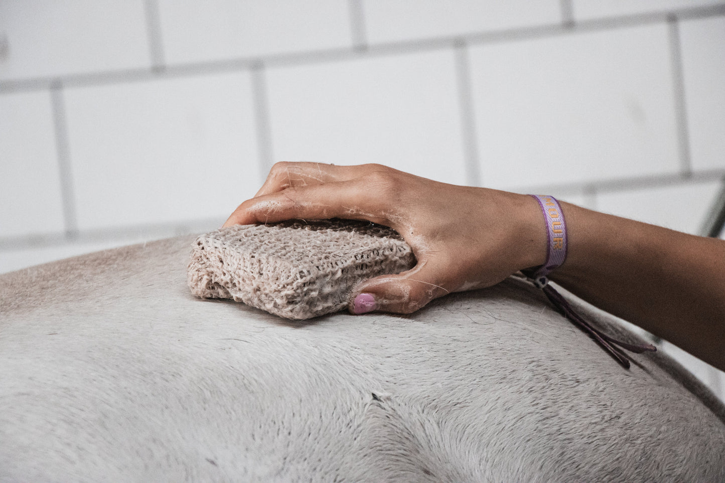 Frenky Lewis Paardenshampoo Premium Bar Classic & Hydrate - 100% natuurlijk - Livin Horse Shop