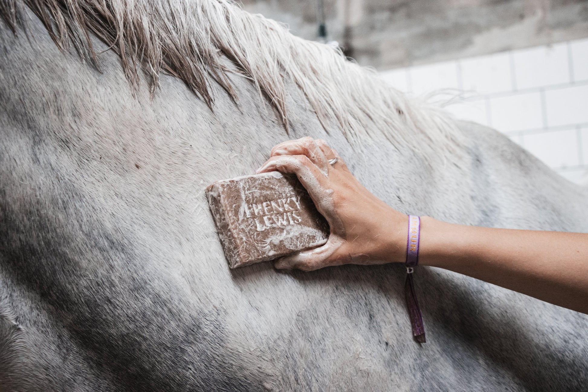 Frenky Lewis Paarden shampoobar Honey & Care - 100% natuurlijke shampoobars - Livin Horse, closeup met paard