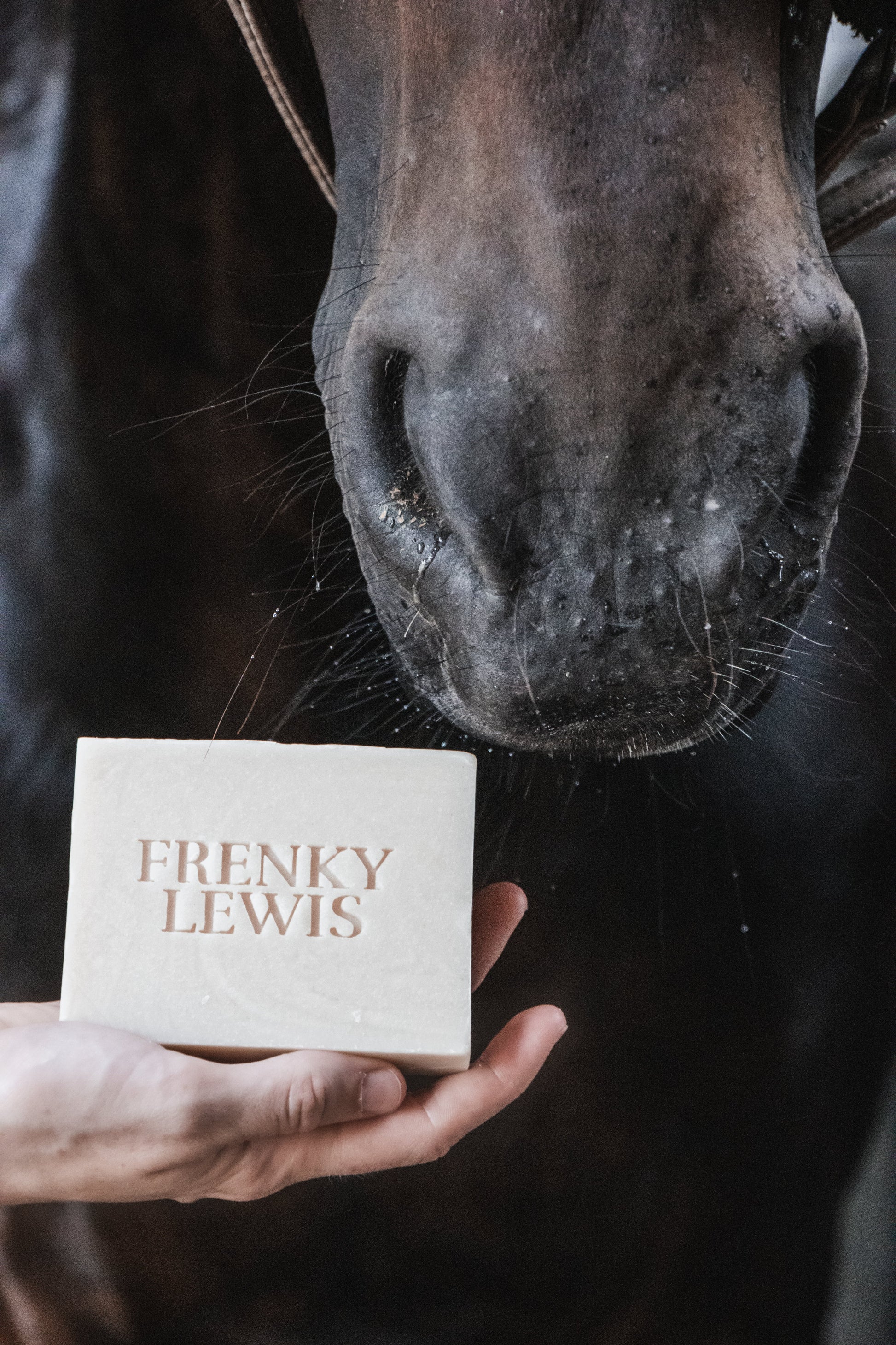 100% natuurlijke paarden shampoobar, diverse soorten paarden shampoobars, frenky lewis, livin horse shop, aangezicht foto