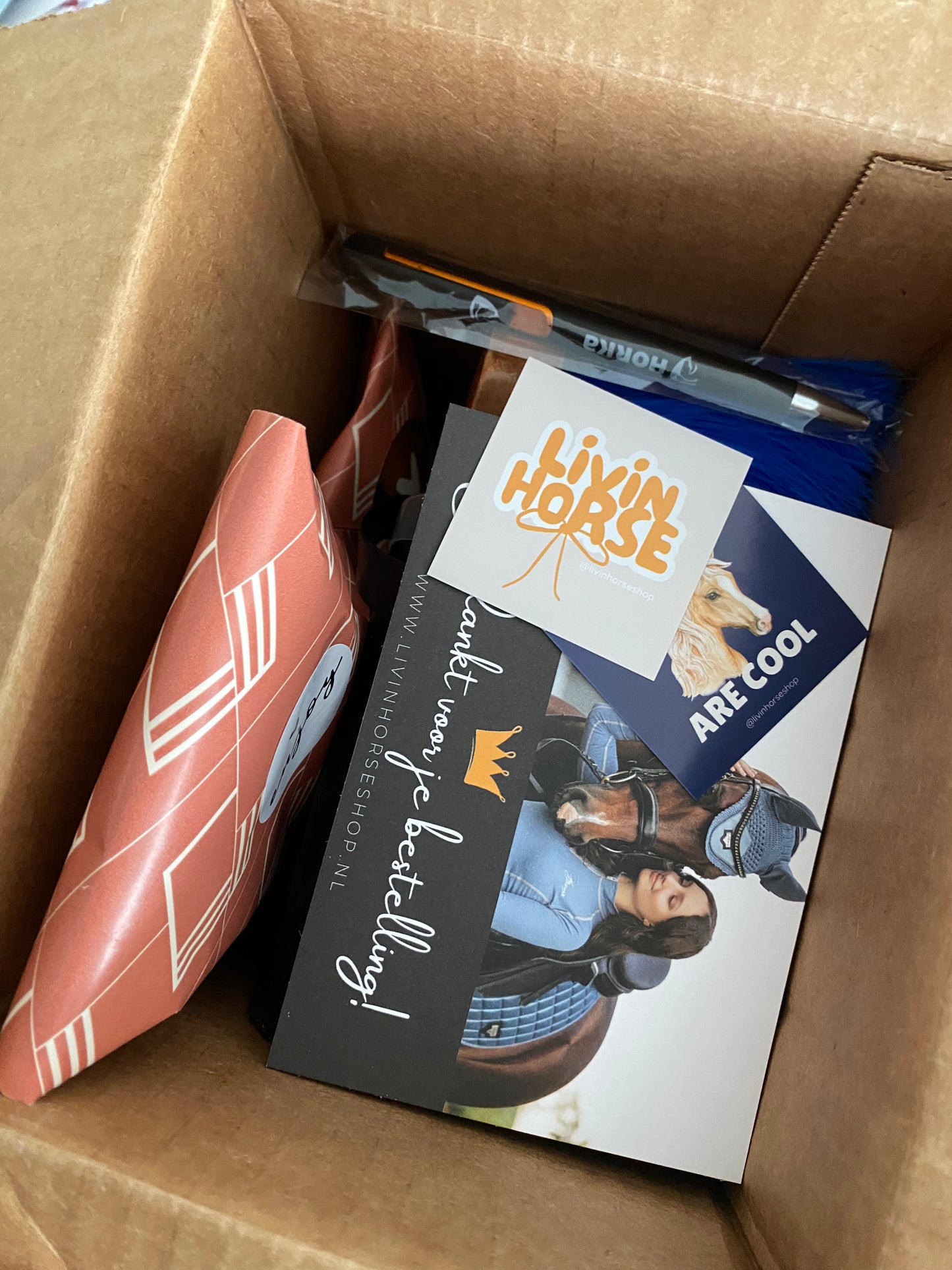 Bespaar 50% met de Too Good To Go Horse Box #5 van Livin Horse Shop! Vol leuke paardenspullen met kleine imperfecties of korte houdbaarheid. Duurzaam en verrassend!