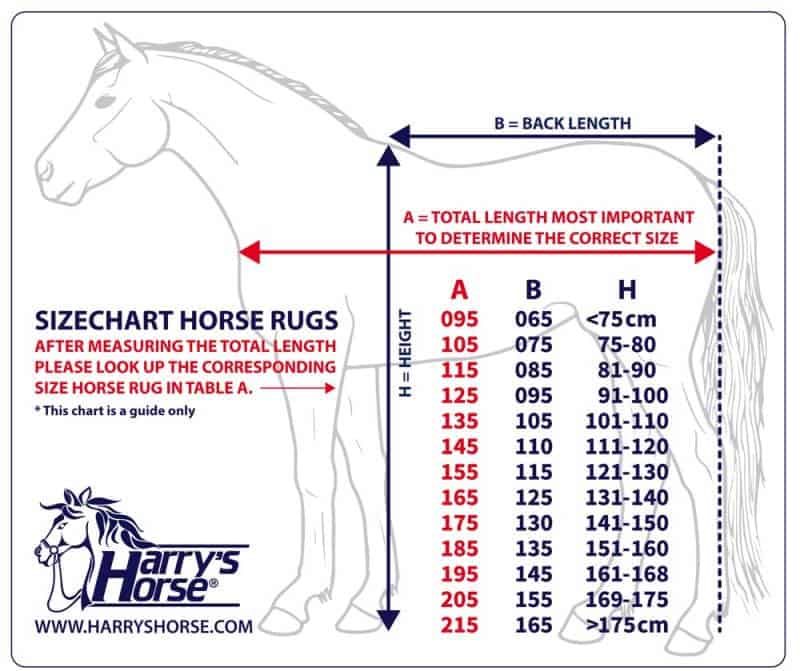 Harry's Horse Outdoor Blanket Thor Ebony – Waterproof Rain Blanket without Filling for your Horse