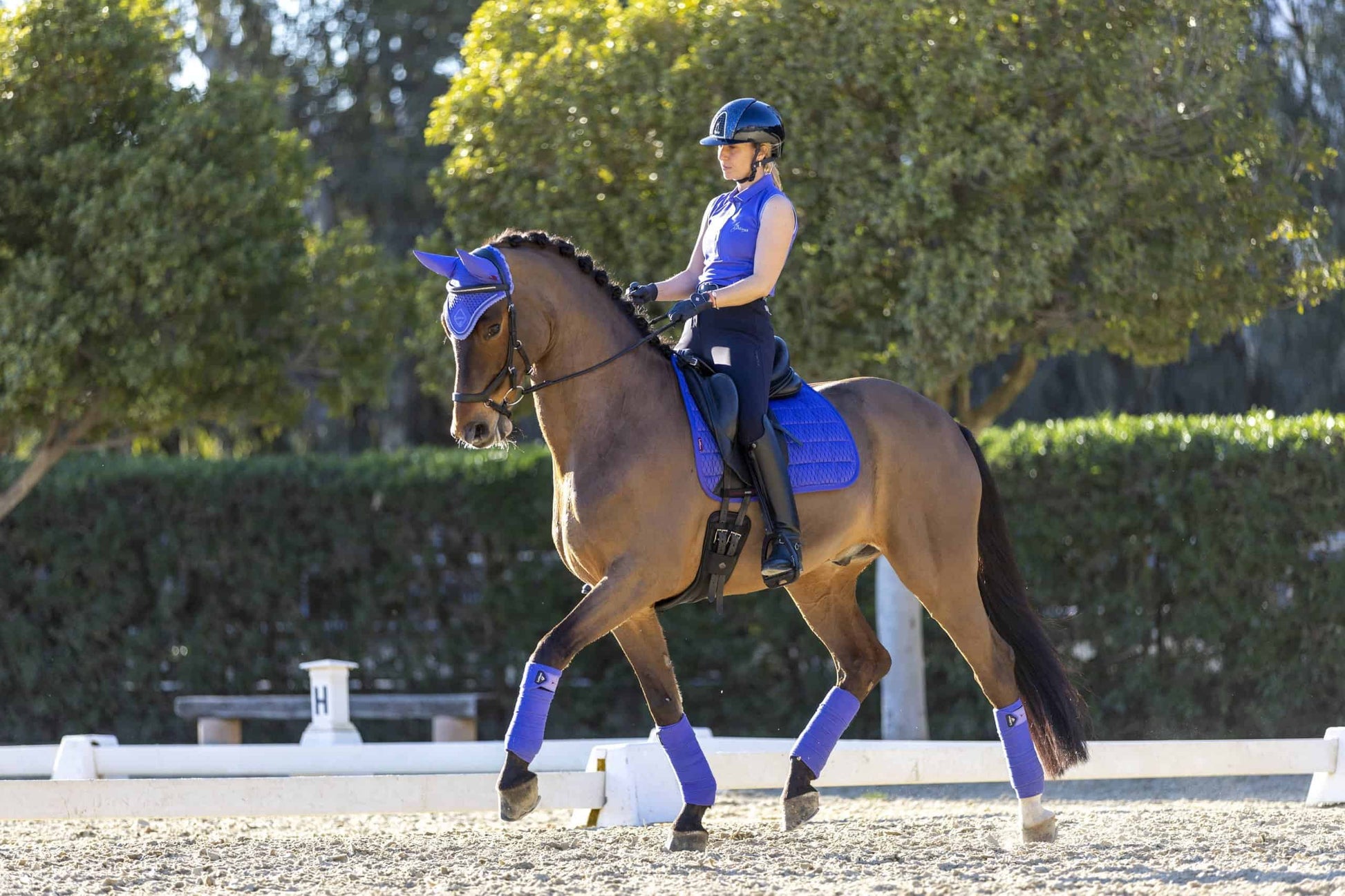 LeMieux Carbon Mesh Dressage Square BluebelLeMieux Zadeldekje Dressage Carbon Mesh Square Bluebell.Dit LeMieux Zadeldek is verkijgb aar bij Livin Horse shop, dealer van LeMieux! Frontaanzicht LeMieux Zadeldekje Dressage Carbon Mesh Square Bluebell.