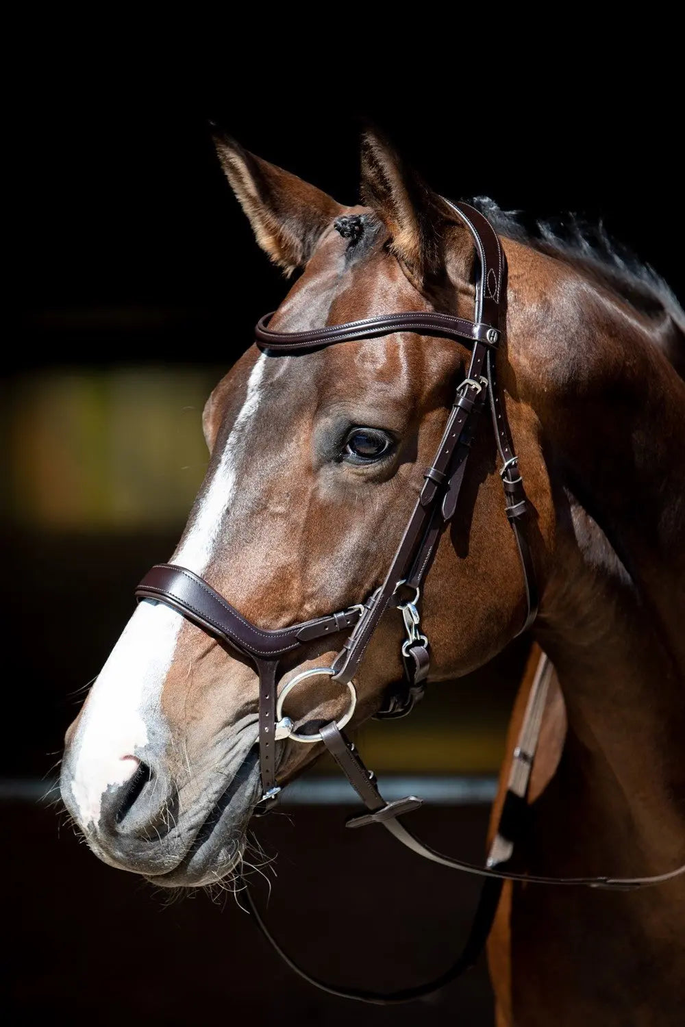 harrys-horse-hoofdstel-release