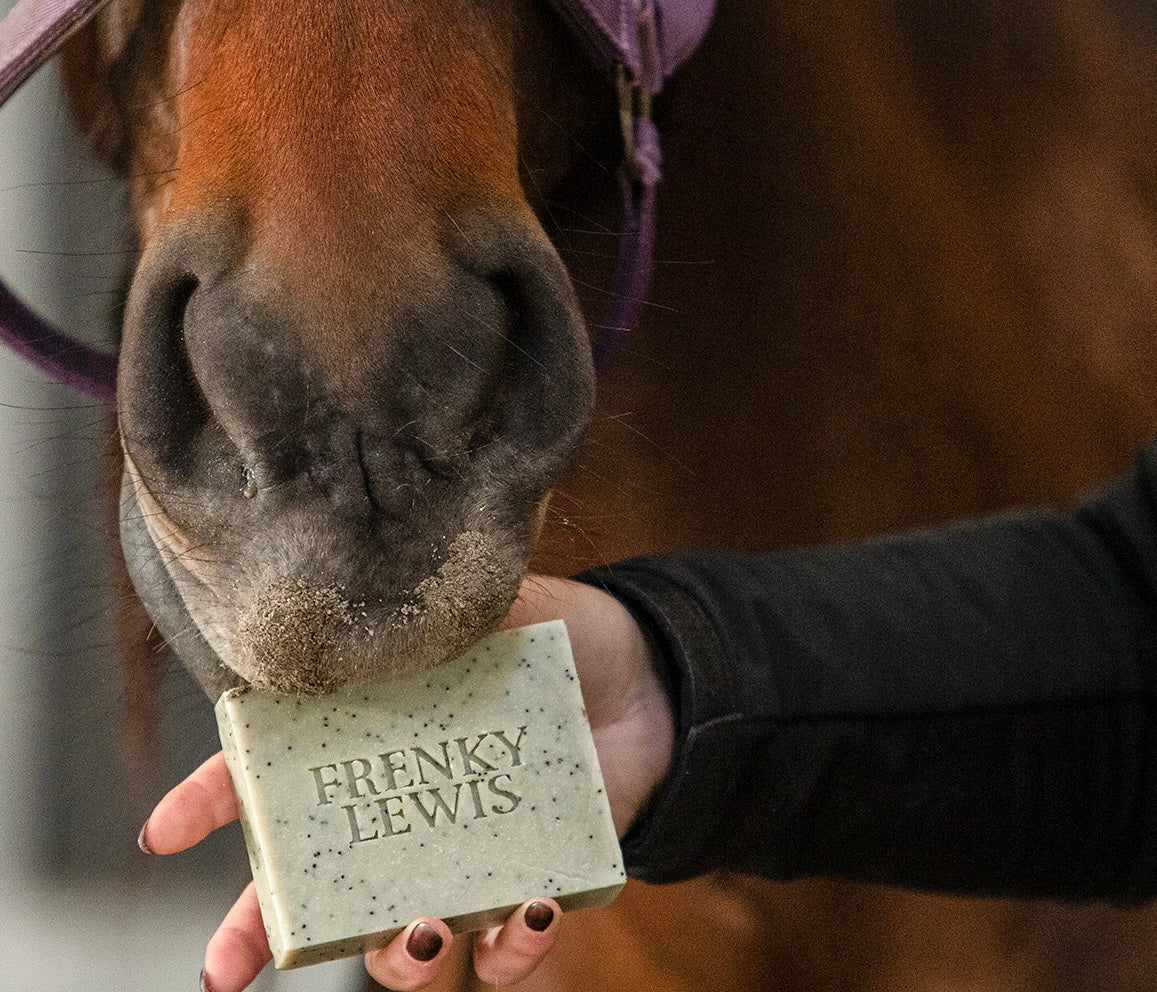 100% natuurlijke paarden shampoobar, scrub & shine, we heben drie soorten shampoobars, frenky lewis, verkrijgbaar bij livin horse shop