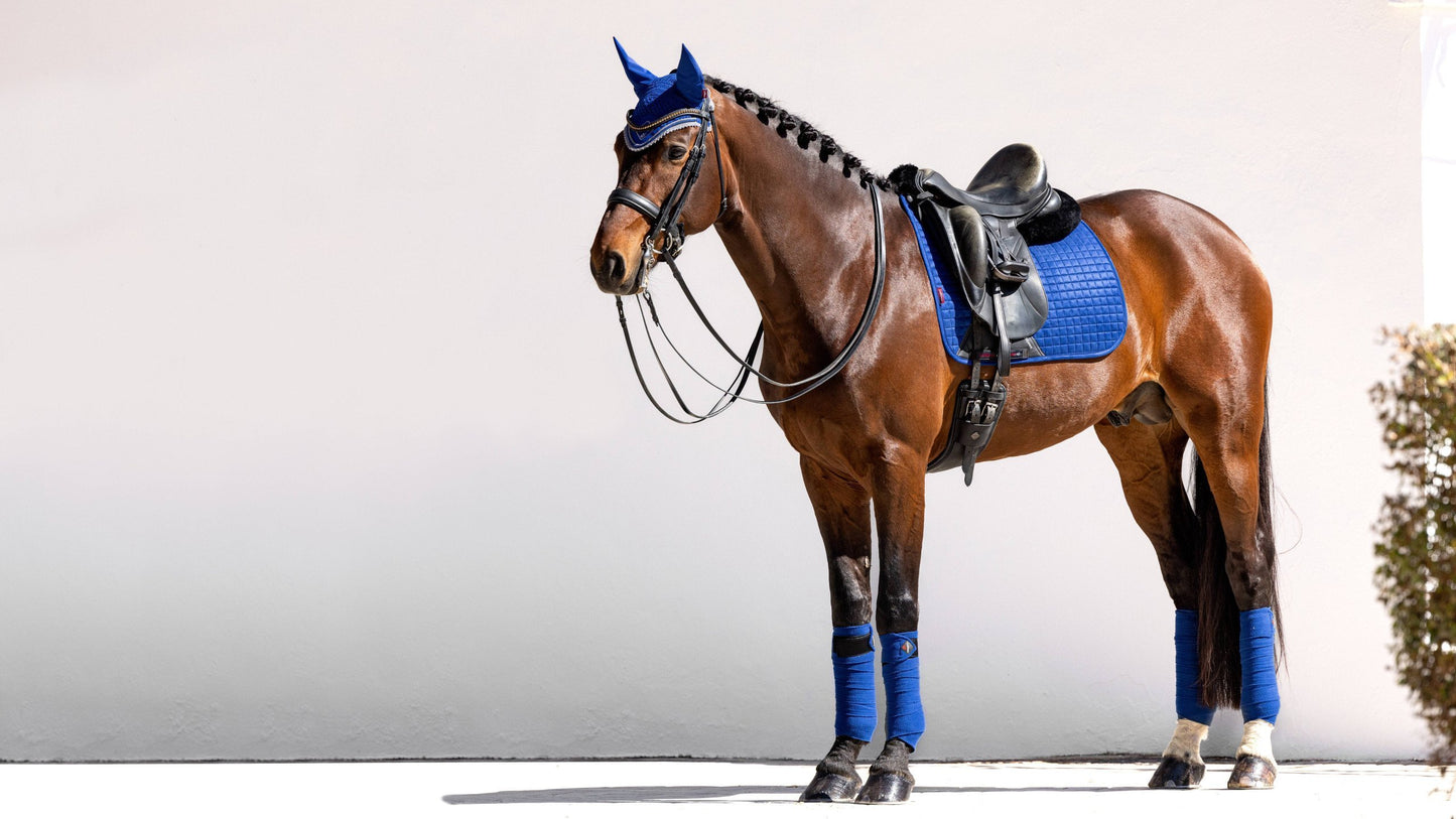 LeMieux Dressage Luxury Square Benetton Blue #