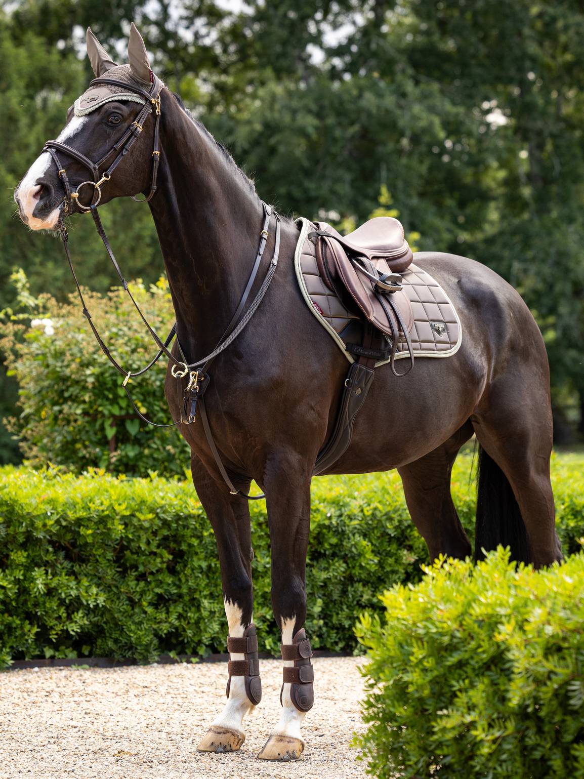 LeMieux Zadeldekje Loire Classic Close Contact Square Walnut. Dit LeMieux zadeldekje is verkrijgbaar bij livin Horse Shop. Zijaanzicht rechts zadeldek Walnut. Zadeldekjes voor paard - zadeldekjes voor pony