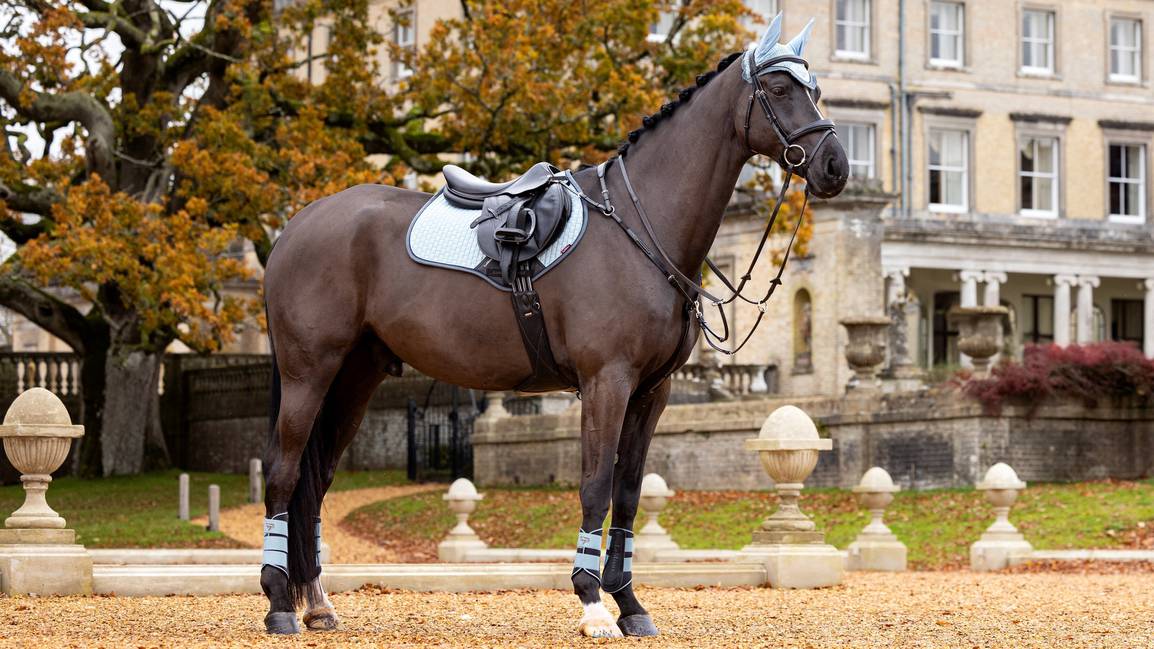 Lemieux Zadeldekje Suede Close Contact Square Glacier. Een premium LeMieux zadeldek voor paard of pony zijn verkrijgbaar bij Livin Horse Shop. Zadeldek - Zadeldekje. Zijaanzicht LeMieux zadeldekje Glacier