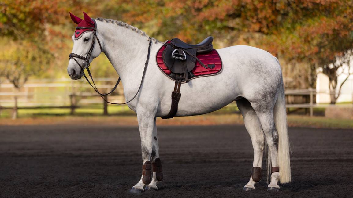 LeMieux Zadeldekje Loire Classic Close Contact Square Ember . Dit LeMieux Zadeldekje is verkrijgbaar bij Livin Horse Shop. Zijaanzicht paard en leMieux Zadeldek Ember