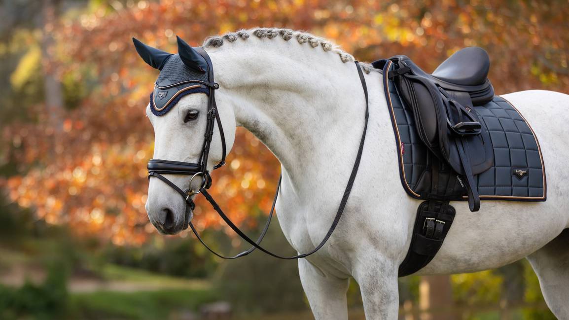 LeMieux Zadeldekje Dressage Loire Classic Square Petrol. Dit LeMieux zadeldek is verkrijgbaar bij Livin Horse Shop, dealer van LeMieux. Frontaanzicht LeMieux Zadeldekje Loire Classic Dressage Square Walnut. Dit LeMieux Zadeldek is verkrijgbaar bij Livin Horse Shop, dealer van LeMieux. zijaanzicht paard met Zadeldek LeMieux voor paard en pont