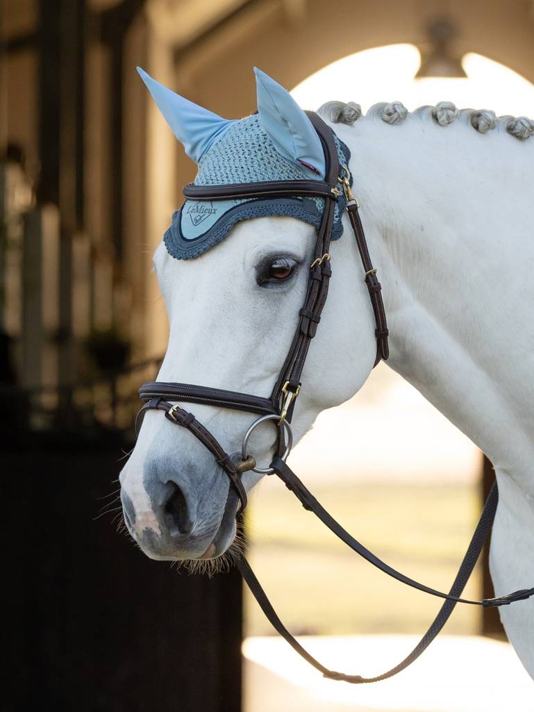 LeMieux Classic oornetje Glacier - Livin Horse shop. LeMieux Classic Oornetje Glacier in ijsblauwe kleur, handgemaakt van 100% katoen met elastaan oren, voorzien van luxe vlechtwerk en geborduurd LeMieux-logo.