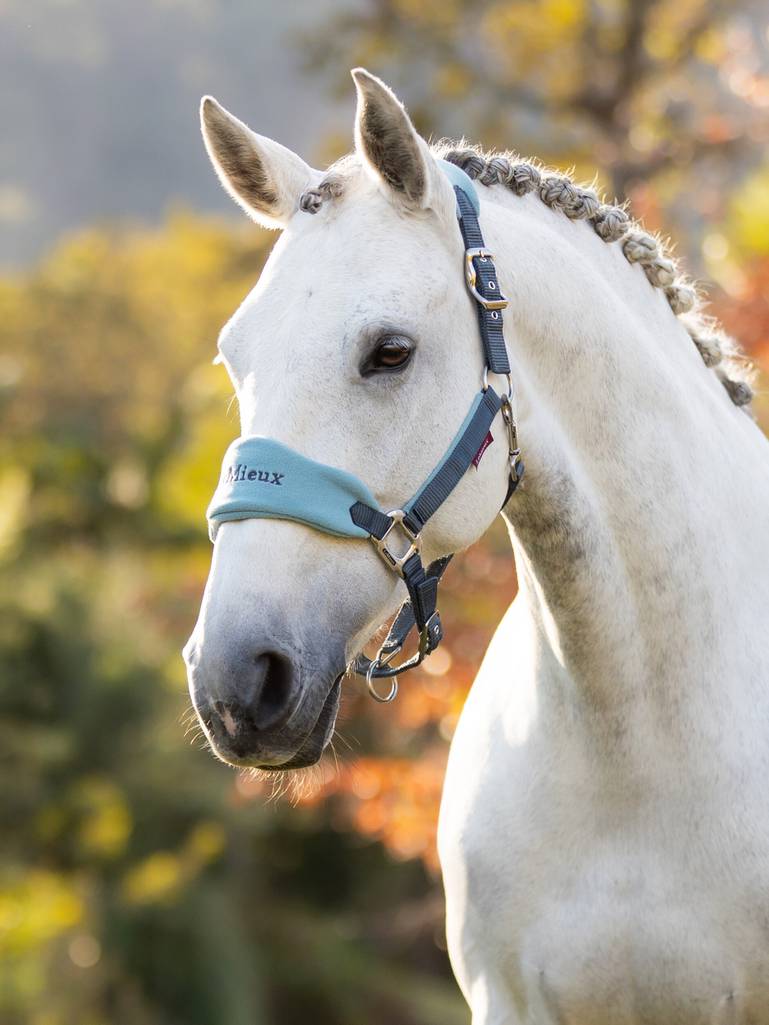 LeMieux Vogue halster Petrol.LeMieux Vogue halster Petrol. Deze halsters van LeMieux zijn verkrijgbaar bij livin horse shop, dealer van LeMieux. Frontaanzicht op wit paard met halsterset LeMieux Petrol