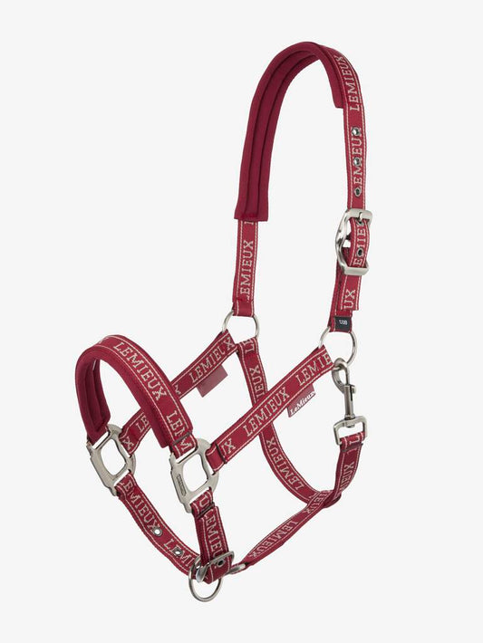 LeMieux Logo halster Cinder. LeMieux Logo Halster Ember – Comfort & Verstelbaar Design. De halsters van LeMieux zijn verkrijgbaar bij Livin Horse Shop, dealer van LeMieux. Livin Hoirse shop, allles voor paard en ruiter