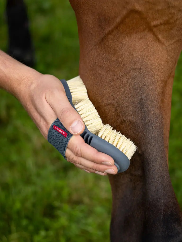 Verwijder moeiteloos hardnekkig vuil met de LeMieux Flexi Schrobborstel Petrol. Stevige haren, ergonomisch ontwerp en flexibele vorm voor optimaal gebruiksgemak.